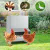 Outdoor Wall Mount Automatic Chicken Feeder for Farm