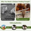 Chicken Feeding Trough with Drainage Holes for Farm