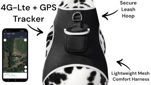 Enhanced GSM GPS Mini Pet Locator Tag Waterproof Dog/Cat Tracking Sys Size:XL