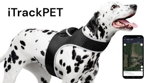 NEW Movement Sensitive GSM GPS Phone Pet Tracker Waterproof Collar Tag Size:M