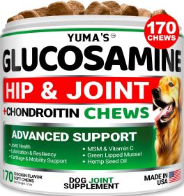 Glucosamine for Dogs Hip and Joint Supplement for Dogs 170 Ct Glucosamine Chondroitin for Dogs Chews Dog Joint Pain Relief with MSM Advanced Dog