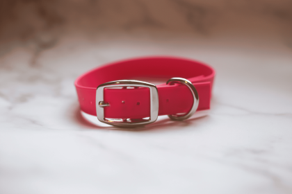 Biothane Buckle Dog Collar (Color: Red, size: Large/XL 16-18 inches)