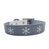 Biothane Buckle Dog Collar
