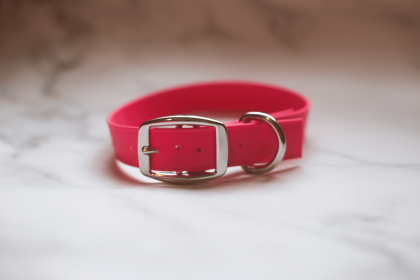 Biothane Buckle Dog Collar (Color: Red, size: Small 11-13 inches)