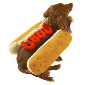 Casual Canine Hot Diggity Dog Costume (Color: Mustard, size: small)