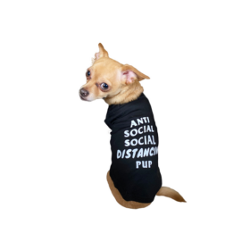 Anti Social Social Distancing Pup (Color: Black, size: medium)