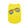 Pride Sunnies