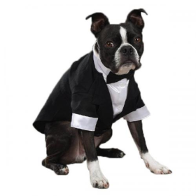 East Side Coll Yappily Ever After Groom Tux (Color: White, size: medium)
