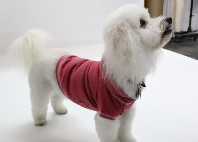 Doggy Hoodie French Terry (Color: Brick, size: large)