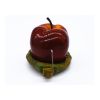 Parrot Spill-Proof Plastic Feeder for Bird Cage