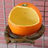 Parrot Spill-Proof Plastic Feeder for Bird Cage