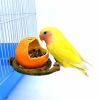 Parrot Spill-Proof Plastic Feeder for Bird Cage