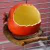 Parrot Spill-Proof Plastic Feeder for Bird Cage