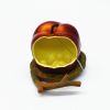 Parrot Spill-Proof Plastic Feeder for Bird Cage